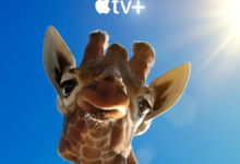 巨兽全集 2023纪录片 HD1080P 迅雷下载-沐风文化