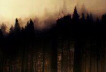 2022《联邦调查局:通缉要犯第四季》美国犯罪历史 更新至第22集/共22集 迅雷磁力网盘下载-沐风文化