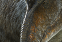 史前星球第二季全集 2023纪录 HD1080P 迅雷下载-沐风文化