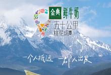 五十公里桃花坞 第三季 2023国产真人秀 HD1080P 迅雷下载-沐风文化