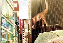 2003美国剧情《迷失东京》HD720P 迅雷下载-沐风文化