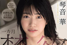 MIDE-956 “琴音华”禁欲一个月 解封之日不间断活塞输送伺候!-沐风文化