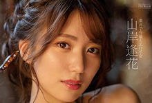 PRED-271 趁老婆出差！与美人小三「山岸逢花」去温泉旅馆大搞不伦，放松身心疯狂玩乐！-沐风文化