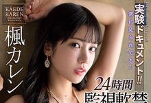 IPX-831 24小时监视软禁!枫カレン(枫花恋)做实验品被迫打七发!-沐风文化