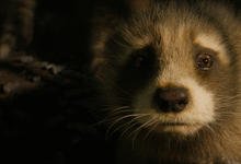 漫威电影《银河护卫队3》高清资源上线 附四部曲电影合集,更新字幕-沐风文化